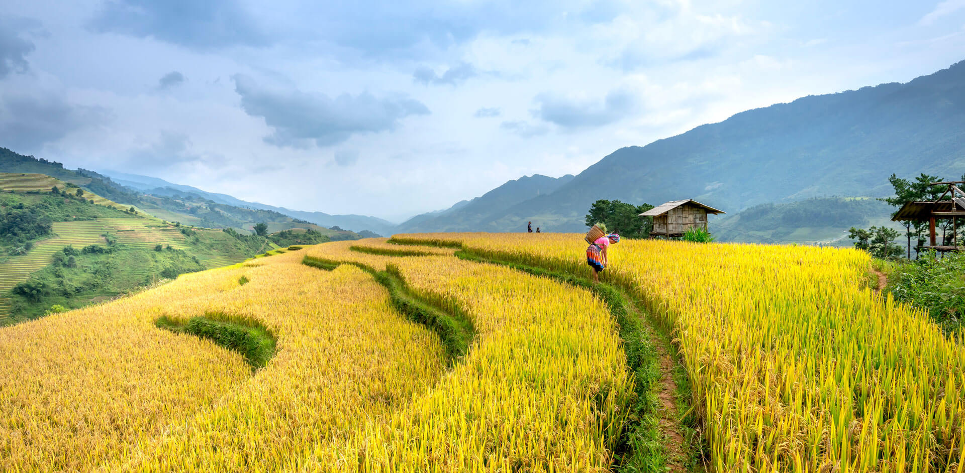 How much are barren cows costing you?