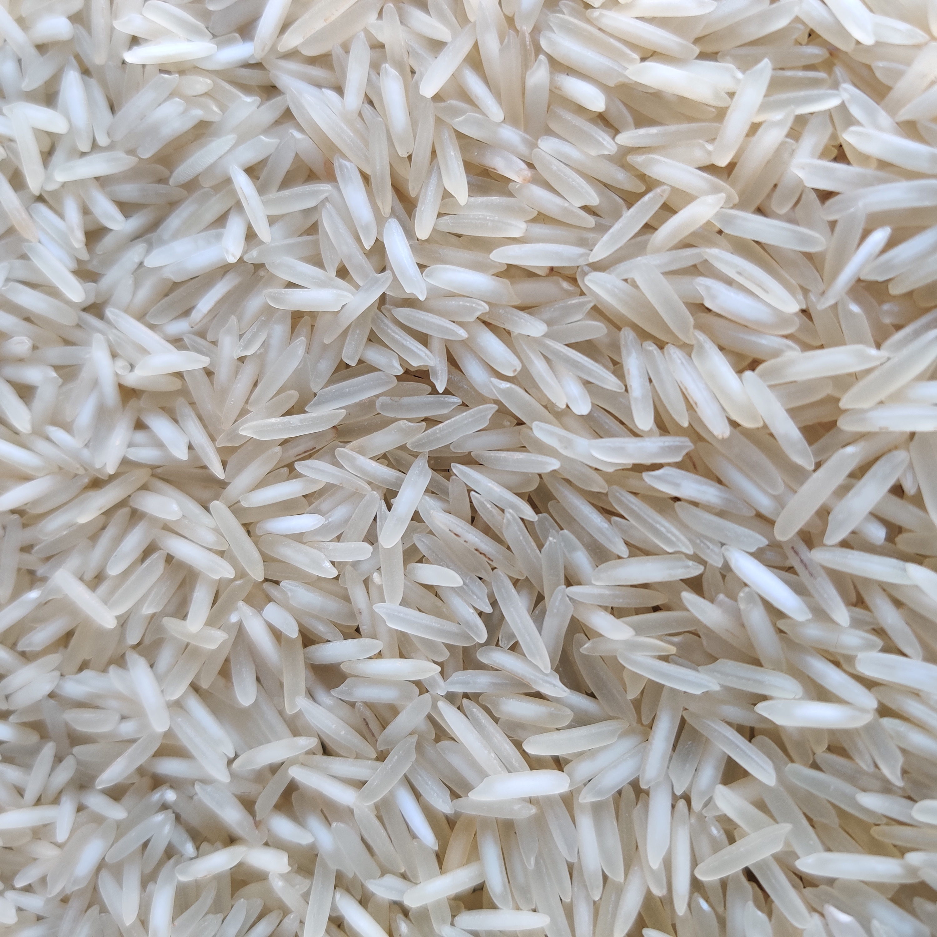 1718 Basmati Rice